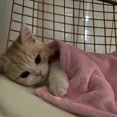 watchout (prod. slimetyphoon)