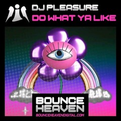 Dj Pleasure - Do Whar Ya Like.mp3