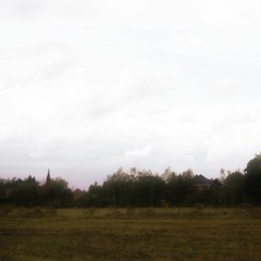 the wind had trees begging for help