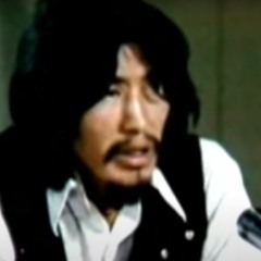 Frank T'Seleie - Berger Inquiry speech