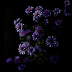 Twisted Love - RemedyforaBrokenHeart (Album Intro)