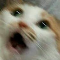 JIMMMMMMMMMMM