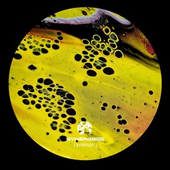 BKHS Premiere: Vivez - Invariable (Waldymoto Remix) (SYEP026)