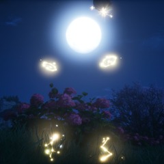 💮 moonbag˜,,,⁛ᐤ⁛.˜