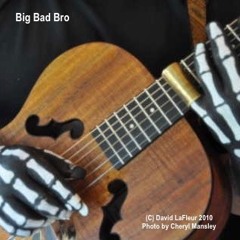 Big Bad Bro