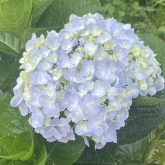 Hối Hận Trong Anh x Đánh Mất Em - CB9 Ft Qiz Remix.mp3 ( Nhạc 1_00 )