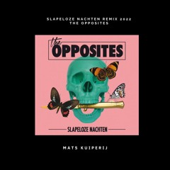 The Opposites - Slapeloze Nachten (Mats Kuiperij Remix)
