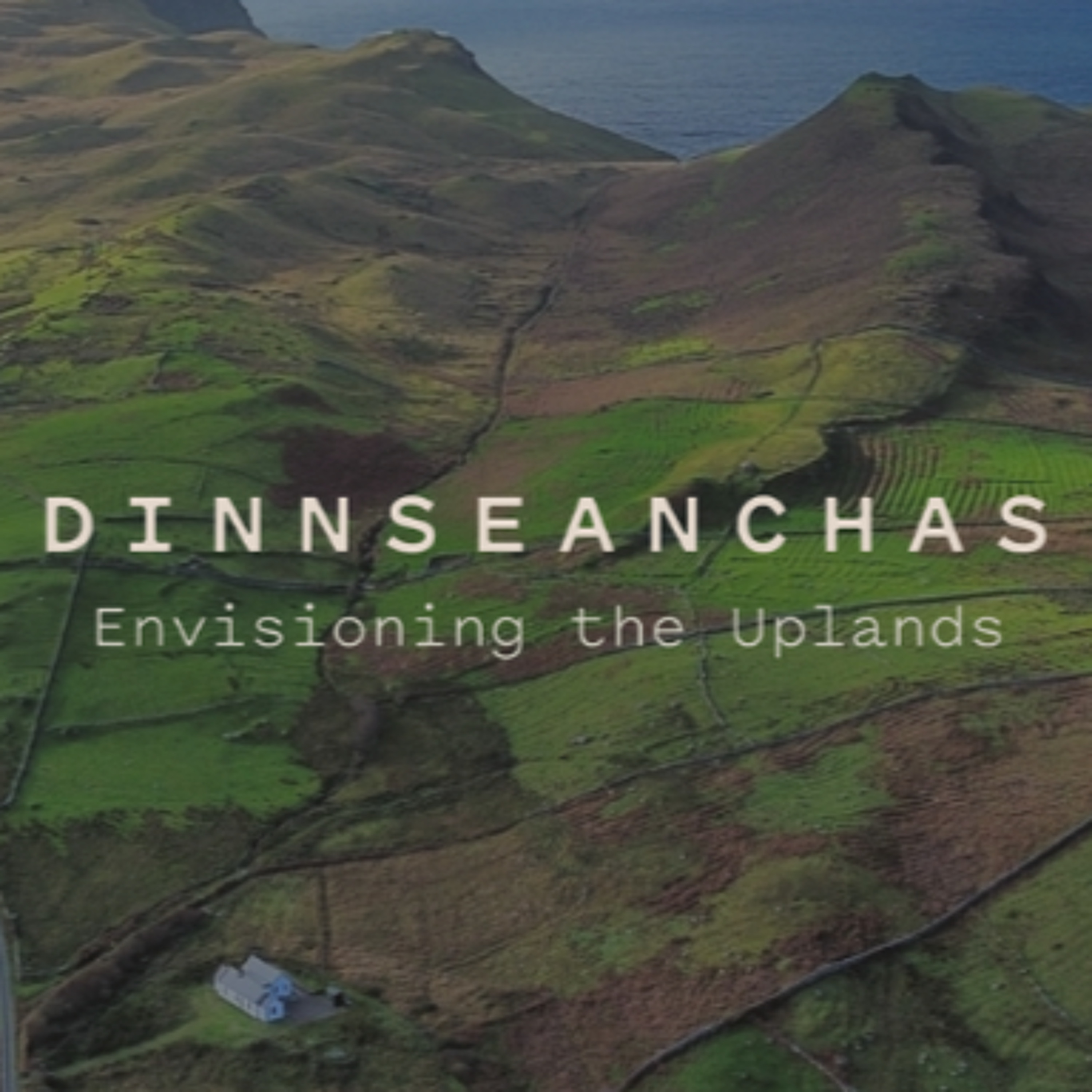 Hometree's Eco-Arts Project Dinnseanchas