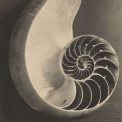 ALTARA exhibition ambient sound journey