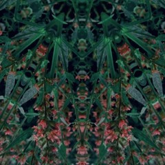 Indie / Electronic