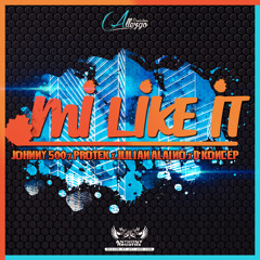 Mi Like It (feat. Johnny500, Protek & Julian Alaino)