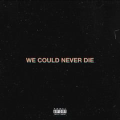 Wecouldneverdie(ft. lilsavionadon)(gleemix)