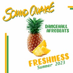 Freshness - SoundQuake Summer Mix 2023