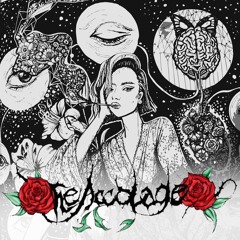 Destiny - The Accolade