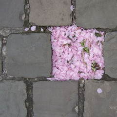 angel (prod by 808 Dilo)