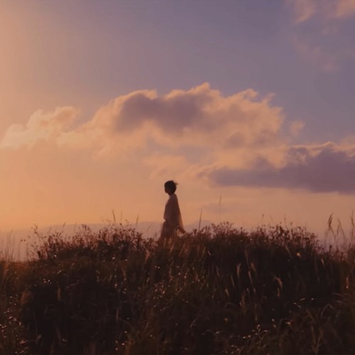 A Wildflower and its Butterfly [RM x BTS piano mix]