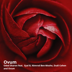 מח קרימינאלי (feat. Dudi Cohen & Ovum)