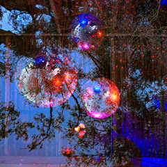 Lord Sut Live at Nudge Nudge Wink Wink 01 Nov 2025