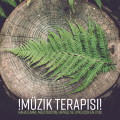 Doğanın Muhteşem Sesleri