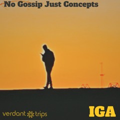 International Groove Assembly - No Gossip, Just Concepts