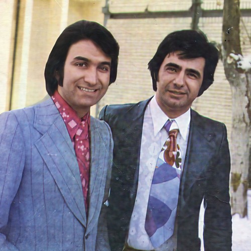 Amir Rasaei - BarNemigardad [Persian Classical] امیر رسایی - برنمیگردد