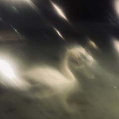 Рада Крада Гарадере