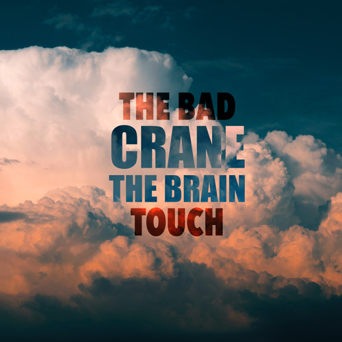 The Bad Touch - crane the brain