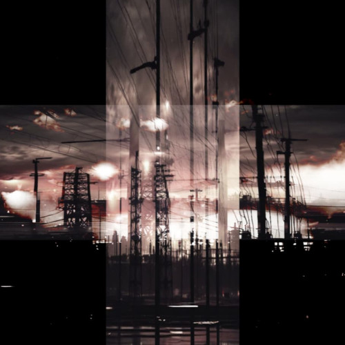 003