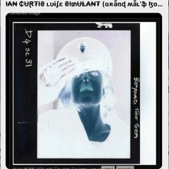 ł₳₦ ₵ɄⱤ₮ł₴ ʟʊɨʄɛ ₴ł₥ɄⱠ₳₦₮ (ɢʀǟռɖ ʍǟʟ'ֆ ɮօռɛ ɮʀօȶɦ Ʀɛɖʊƈȶɨօռ Ֆȶʀǟȶɛɢɛʍ Ʀɛɖʊӽ)