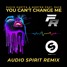 David Guetta & MORTEN Feat. Raye - You Can’t Change Me (Audio Spirit Remix)