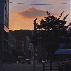 잠시 머문 너