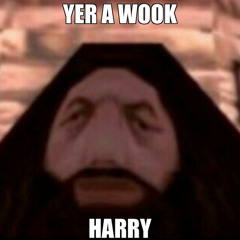 WUBBADUBDUB 3 WOOKS WITH A SUB