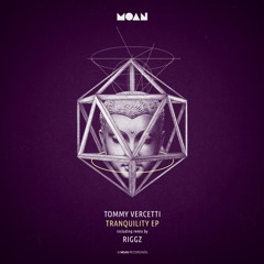 Tommy Vercetti - Tranquility (Rigzz Remix)