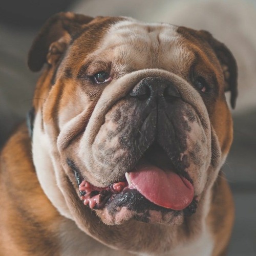 PAUL HOWLET - UK GARAGE SET -part 1-  WELLCOME WINTER 2023.mp3