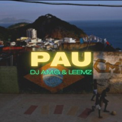 DJ A.M.G & Leemz - Pau