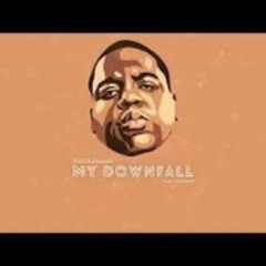Biggie Smalls - My Downfall (TOPorek remix)