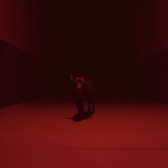 Cerberus of the hood