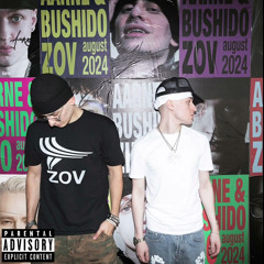 ReMix ZOV