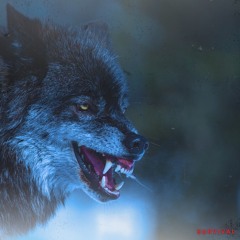 Matthew Plante - SURVIVAL