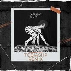 Tobias Rahim Dark Room (TobiasHP Remix)