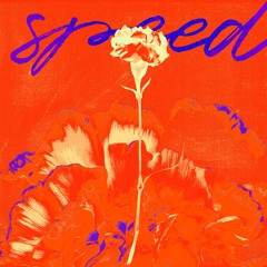 Premiere: DETALJI 'Speed'
