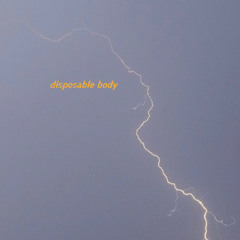 disposable body