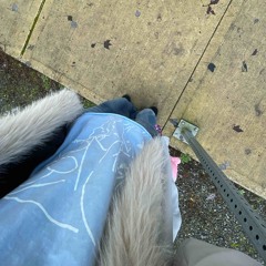 learn how to have fun (milkyyy acyl)