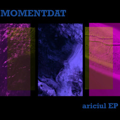 Premiere: Momentdat - Ariciul