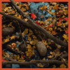 East Coast Autumn (with Babbling Brook) [Royalty Free]