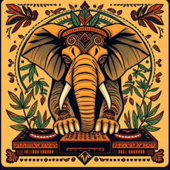 Elephant -Rumble in da Jungle ragga jungle dnb djset live vocal mix 01