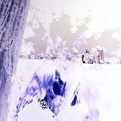 Mxllygirls - Ethereal shawty