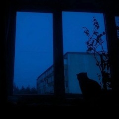 спокойной ночи Максим