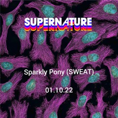 Sparkly Pony @ Supernature October 2022