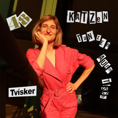 Tvísker - 48 Katzen Tanzen Auf'm Tisch | Kater | Dec 2025